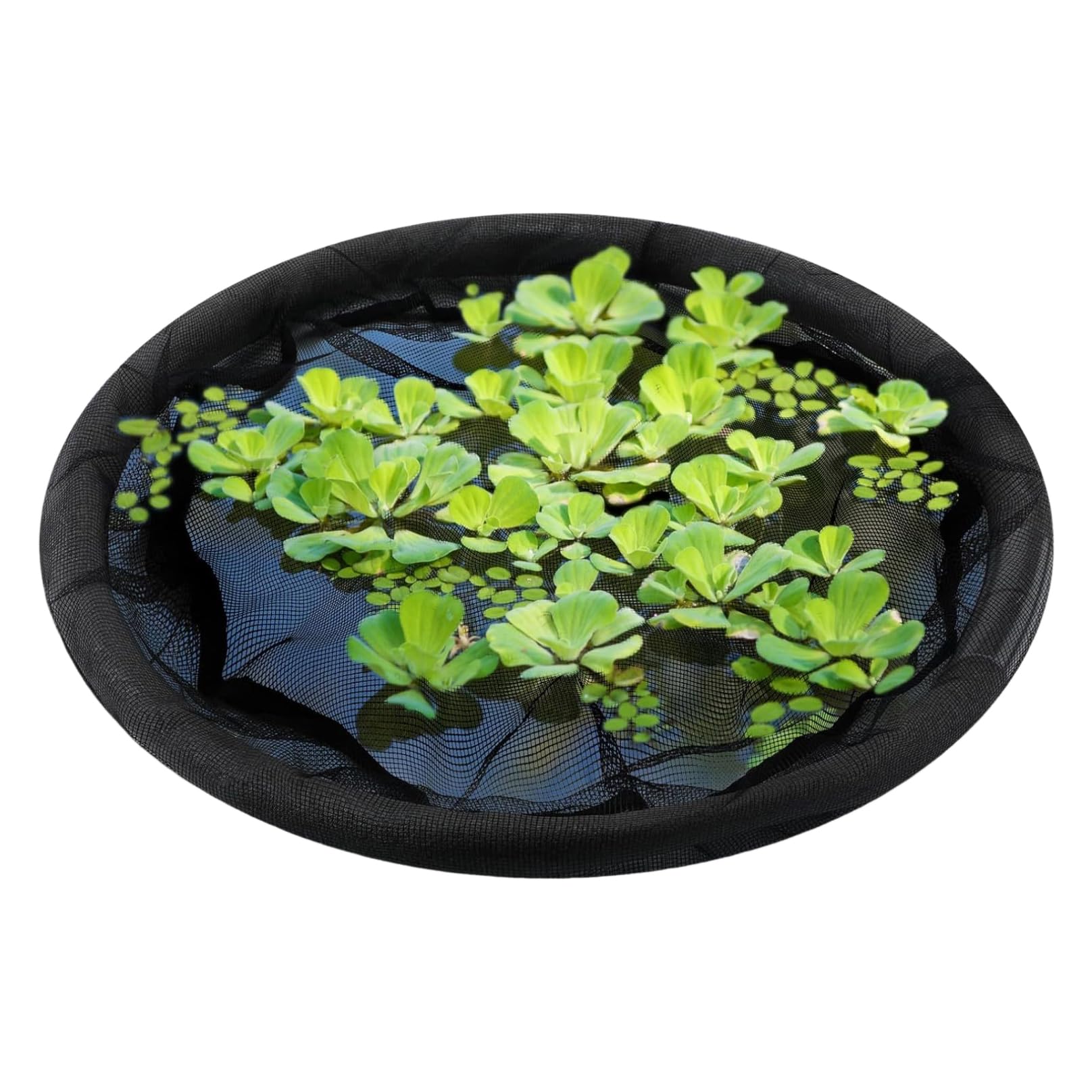 Floating Flora Fish Barrier 31.5" Plant Protector Fine Mesh Floating Pond Corral with Lifting Ring Round Protective Polyester Floating Plant Corral from Fish Plant Protector Floating Plant Pot Floatin