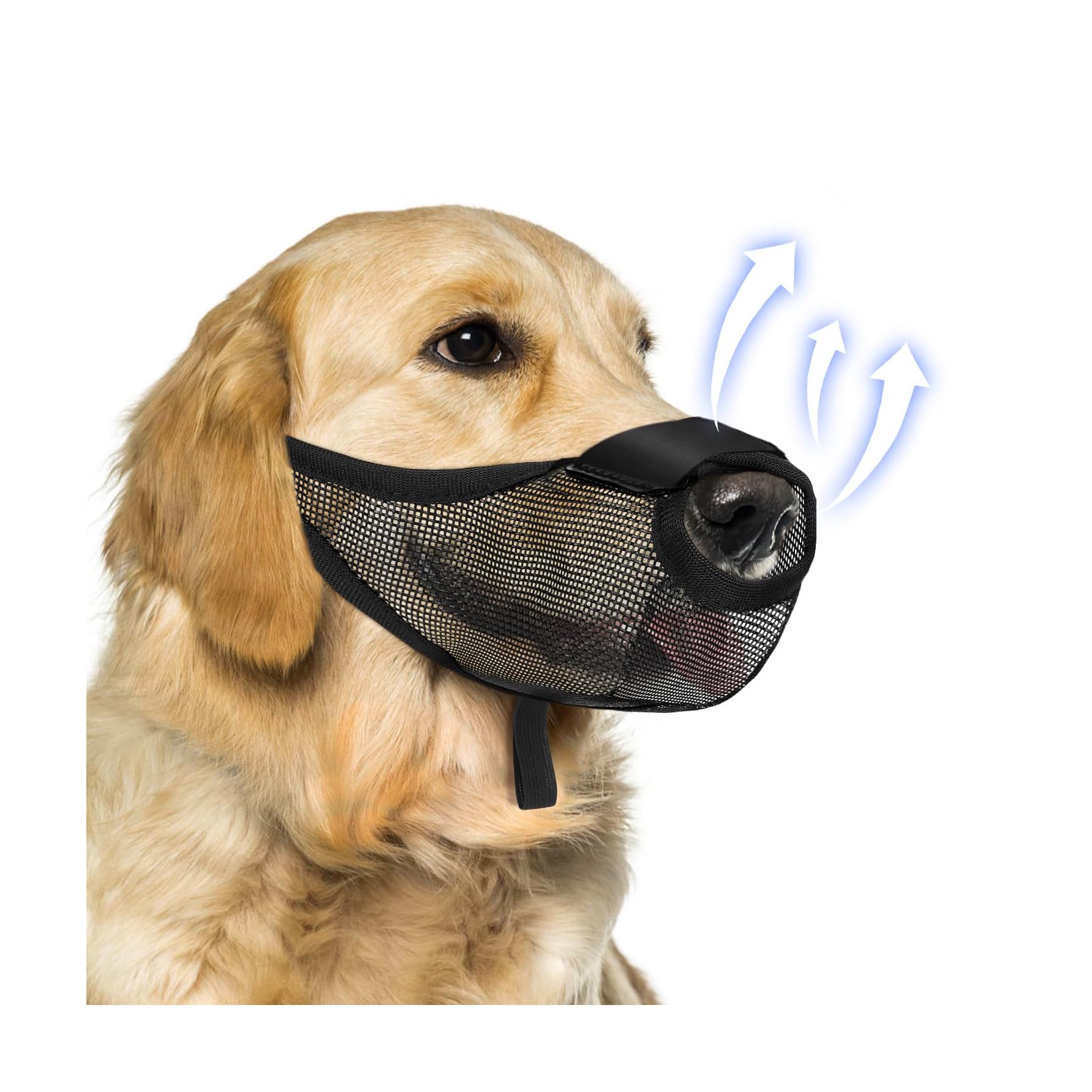 Museruola per Cani, Museruola per Cani Traspirante, Museruola Regolabile per Proteggere dal Abbaiare, per Cani di Taglia Piccola, Media e Grande, Impedisce di Mordere, Leccare e Masticare (Nero-M)