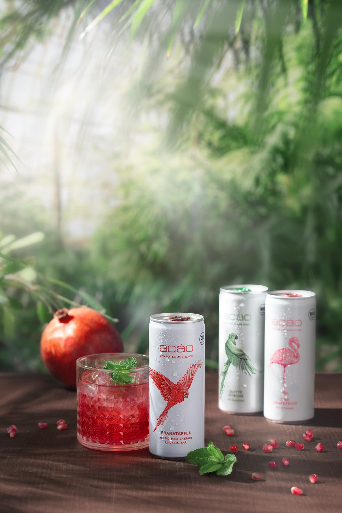 acáo Bio-Erfrischungsgetränk –Quitte-Zitrone & Pink Grapefruit (24 × 250 ml Dose) – die gesunde Alternative zu Energy Drinks – kalorienarm & vegan