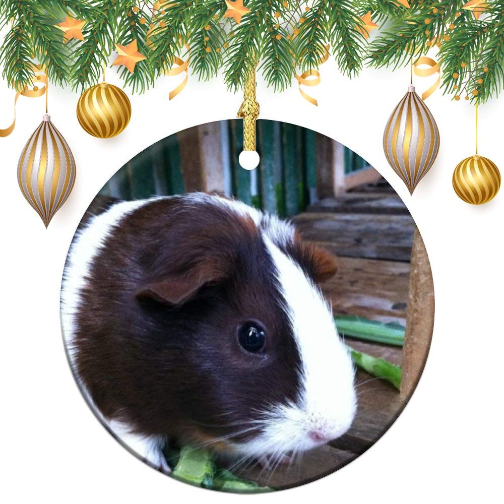 Christmas Ornaments Guinea Pig Ornament Tree Hanging Decor Gift