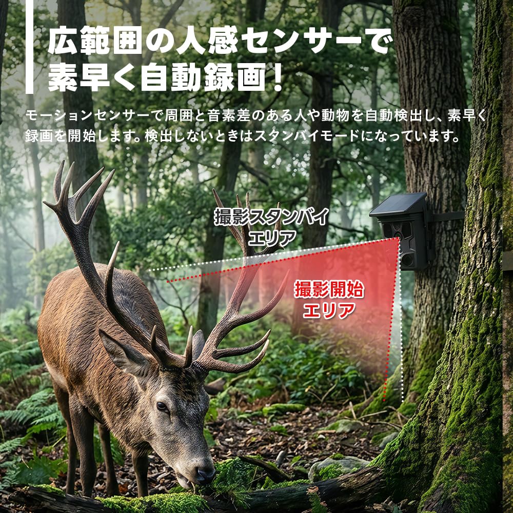 Amazon.co.jp: WTW 塚本無線 トレイルカメラ 防犯カメラ 熊 害獣 監視