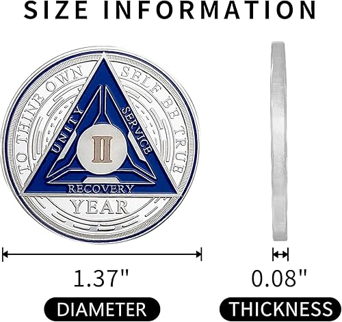 Miniatura 4 de Moneda de sobriedad de 6 años, chips AA y medallones de tres placas, ficha sobriedad de chip de recuperación de sobriedad  Regalos de sobriedad para
