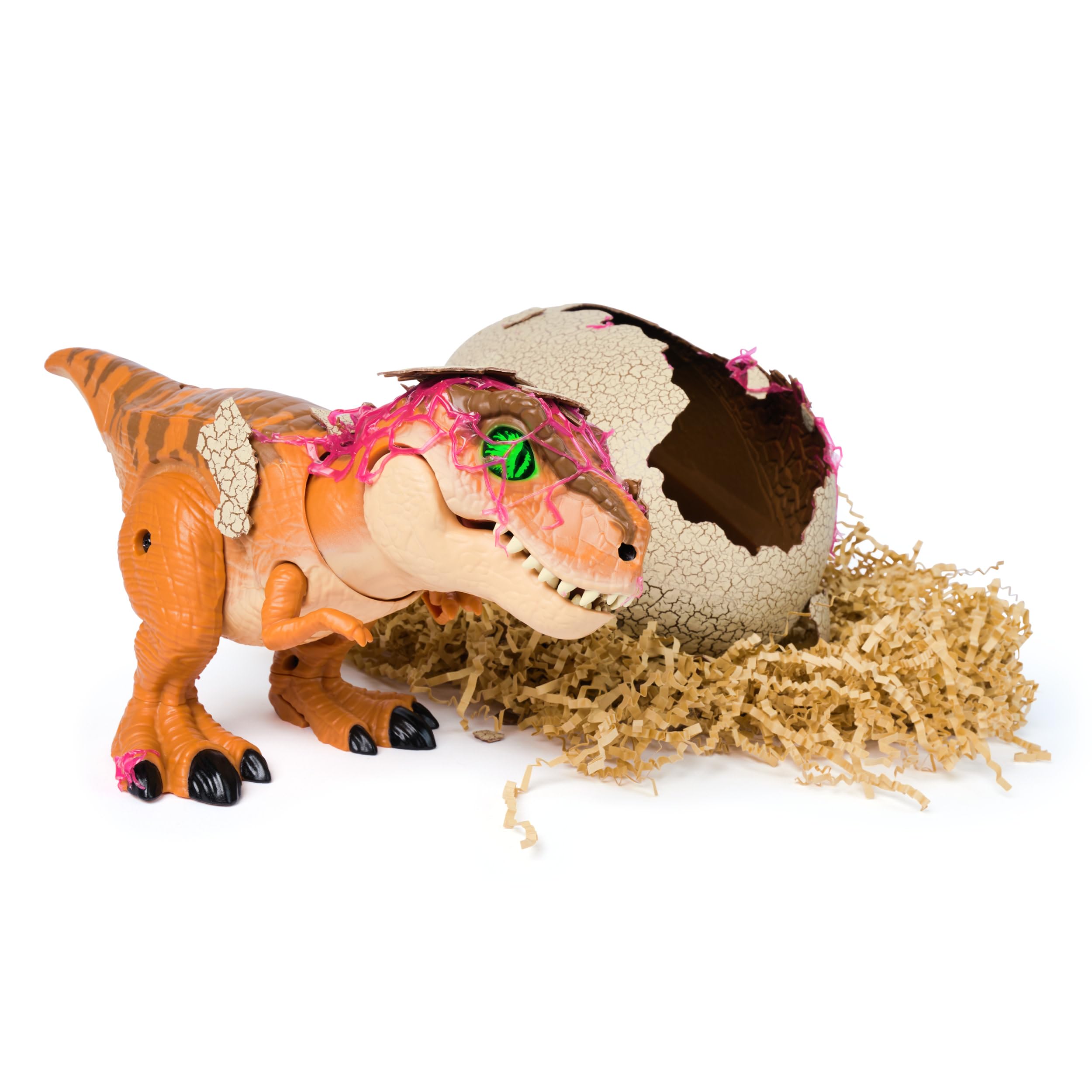 Primal Hatch Jurassic World, Dinosauro Interattivo con Uovo, Fai Schiudere e Addestra il Tuo Cucciolo di Dinosauro con Oltre 100 Suoni e Reazioni, Giocattolo per Bambini e Bambine, 5+ Anni