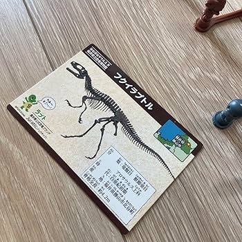 Amazon.co.jp: ほねほねザウルス ホネホネザウルス 福井県立恐竜