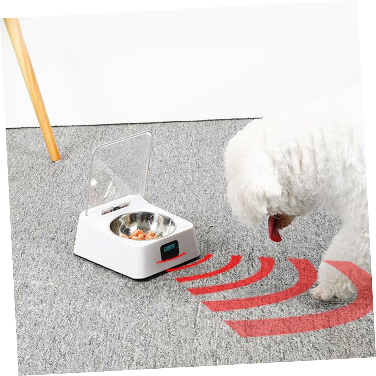 Angoily 1 Pc Dispensador Comida Animales dispensador de Alimentos para Mascotas alimentador de Mascotas de inducción infrarroja automático comedero para Perros