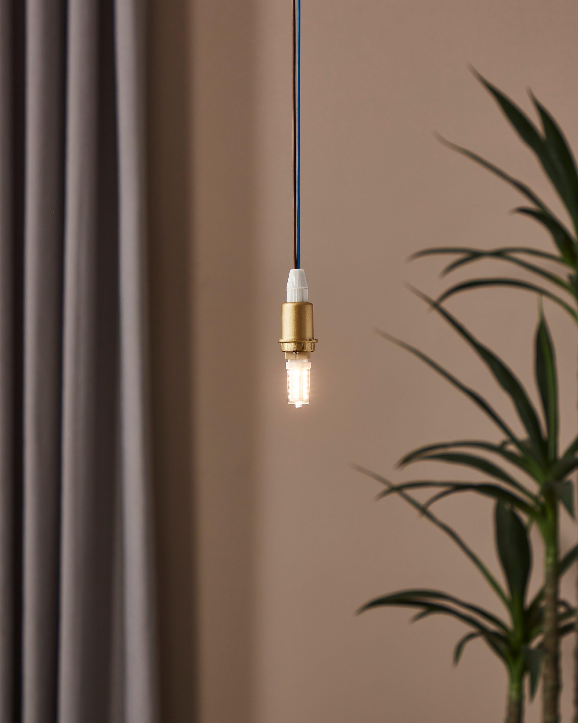 Eglo LED G9 regulable, lámpara con base pin, bombilla enchufable de 3 vatios (corresponde a 30 vatios), 320 lúmenes, iluminante de mazorca blanco cálido, 3000k, foco pin Ø 1,6 cm (Paquete de 5)