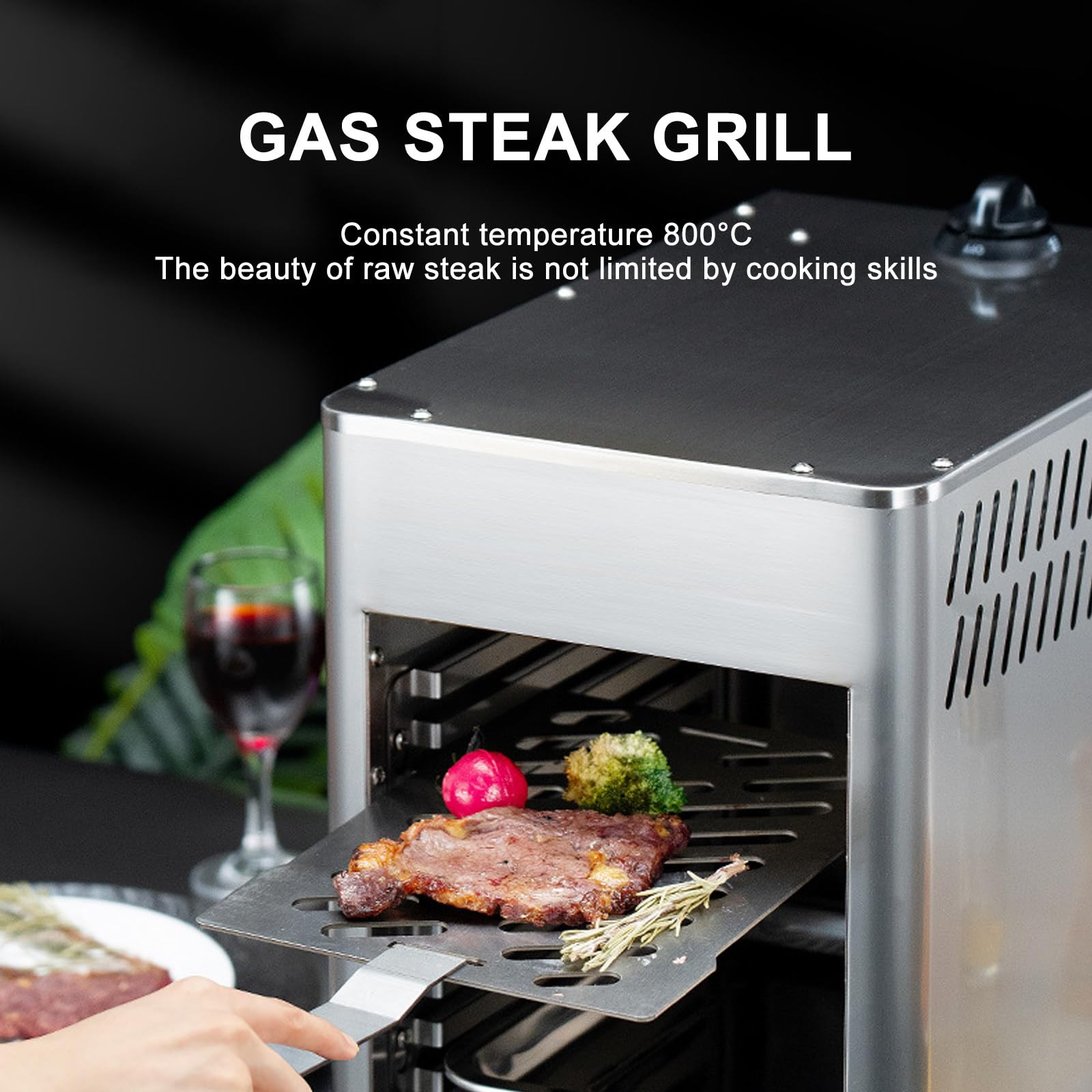 Horno de Gas Comercial para Interiores, asador de Acero Inoxidable de Temperatura Constante de 800 °C, Temperatura Ajustable para Carne, Pollo, Pizza y Verduras, NPJ002G