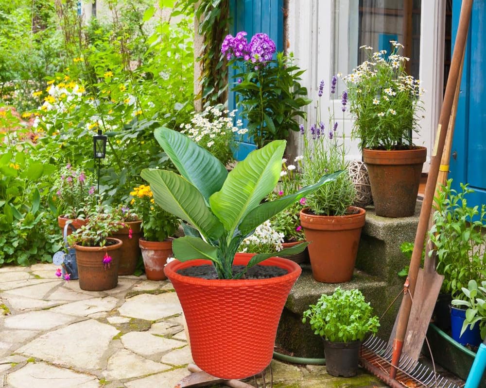 Red Plastic Pots - 3 Pack 12 Inch Durable Planters -5 Red Plastic Pots - 3 Pack 12 Inch Durable Planters -5