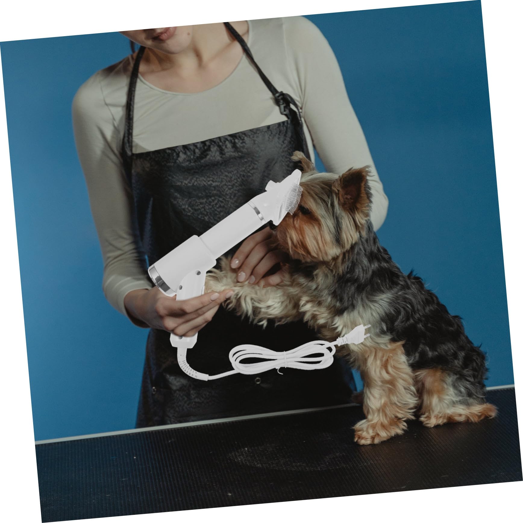 Secador de Pelo para Mascotas, Cepillo Peine Portátil Blanco | Perros y Gatos, Plástico Seguro, Desenredante, Adecuado para Dueños de Mascotas
