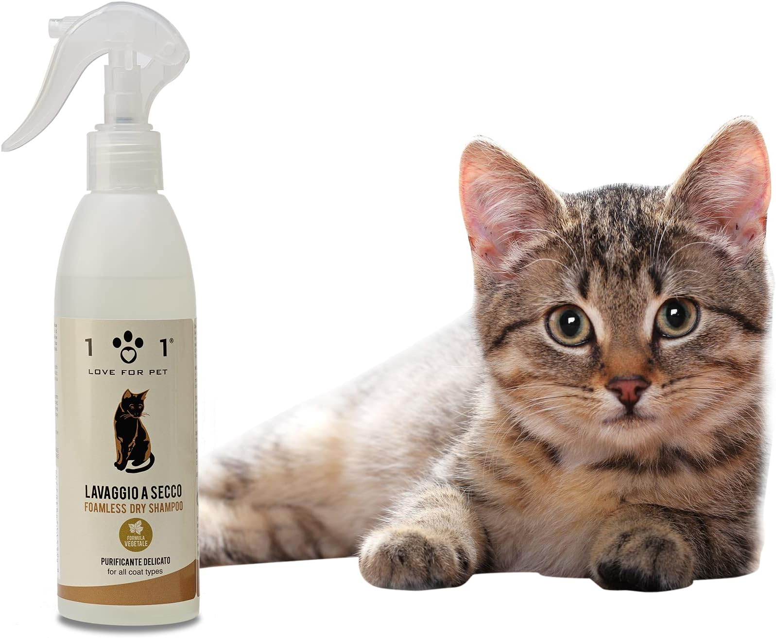 Animology Glamour Puss No Rinse Cat Shampoo, Peach, 250 ml Amazon.co