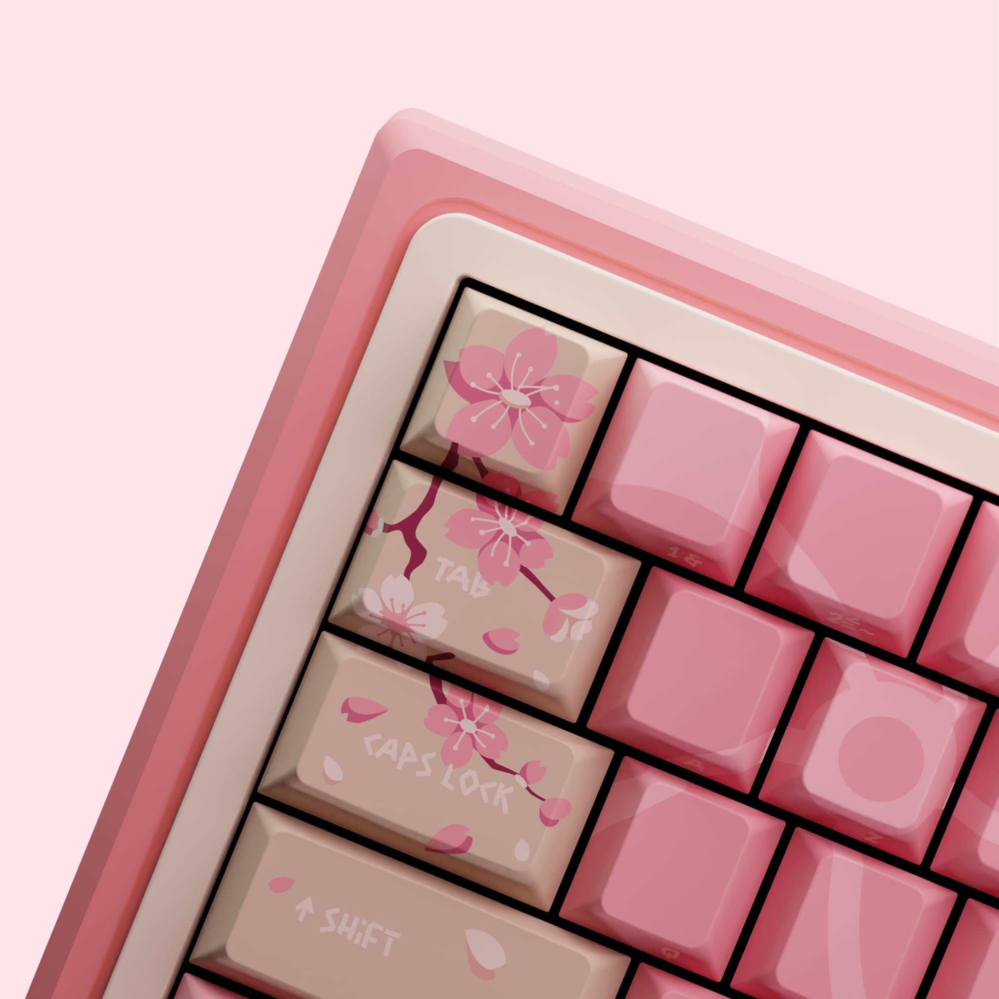 Tryhard Hayami – Clavier Magnétique Gaming 65% | Switchs Hall Effect Ultra-Réactifs 8000 Hz | ARGB Personnalisable | Layout Français AZERTY avec knob