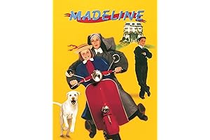 Madil (Madeline): The Essential Ceramic Planter for Plant Lovers