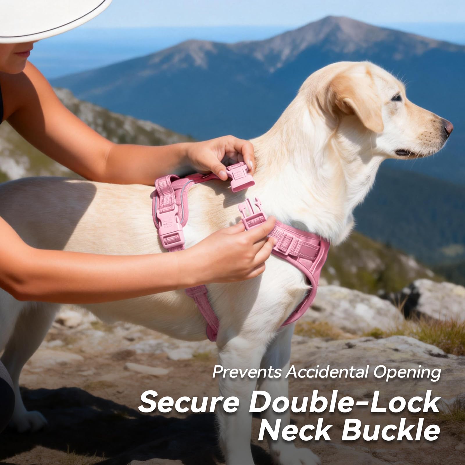 PoyPet Imbracatura per cani non pull, pettorina riflettente per cani senza choke, regolabile, morbido e imbottito, con manico Easy Control per cani di piccola e grande taglia (rosa, M)