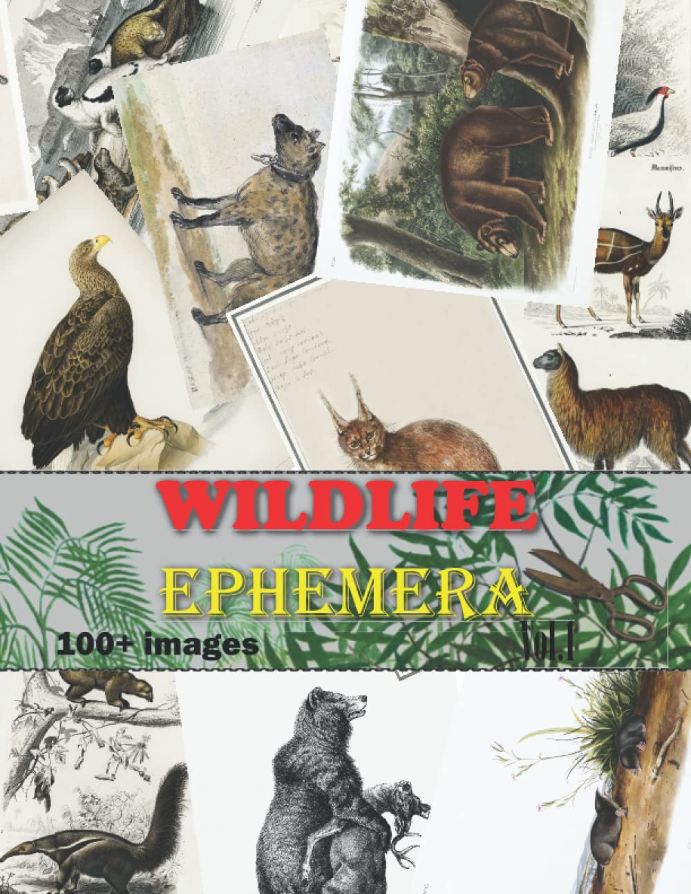 Wildlife Ephemera: Vol. 1 Collection of Vintage Wildlife Illustrations for Junk Journals, Collage, Card Making, Other Papercrafts,and Mixed Media Projects.