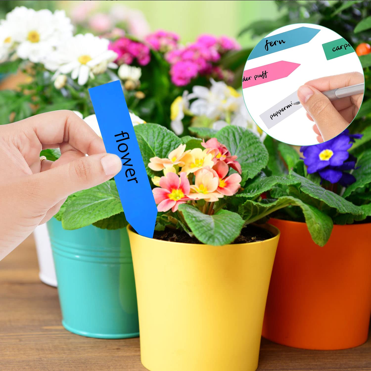 300 Stück Pflanzen-Etiketten Aus Kunststoff – 6x10 Cm, Wasserfest, Für Garten, Sämlinge & Kräuter