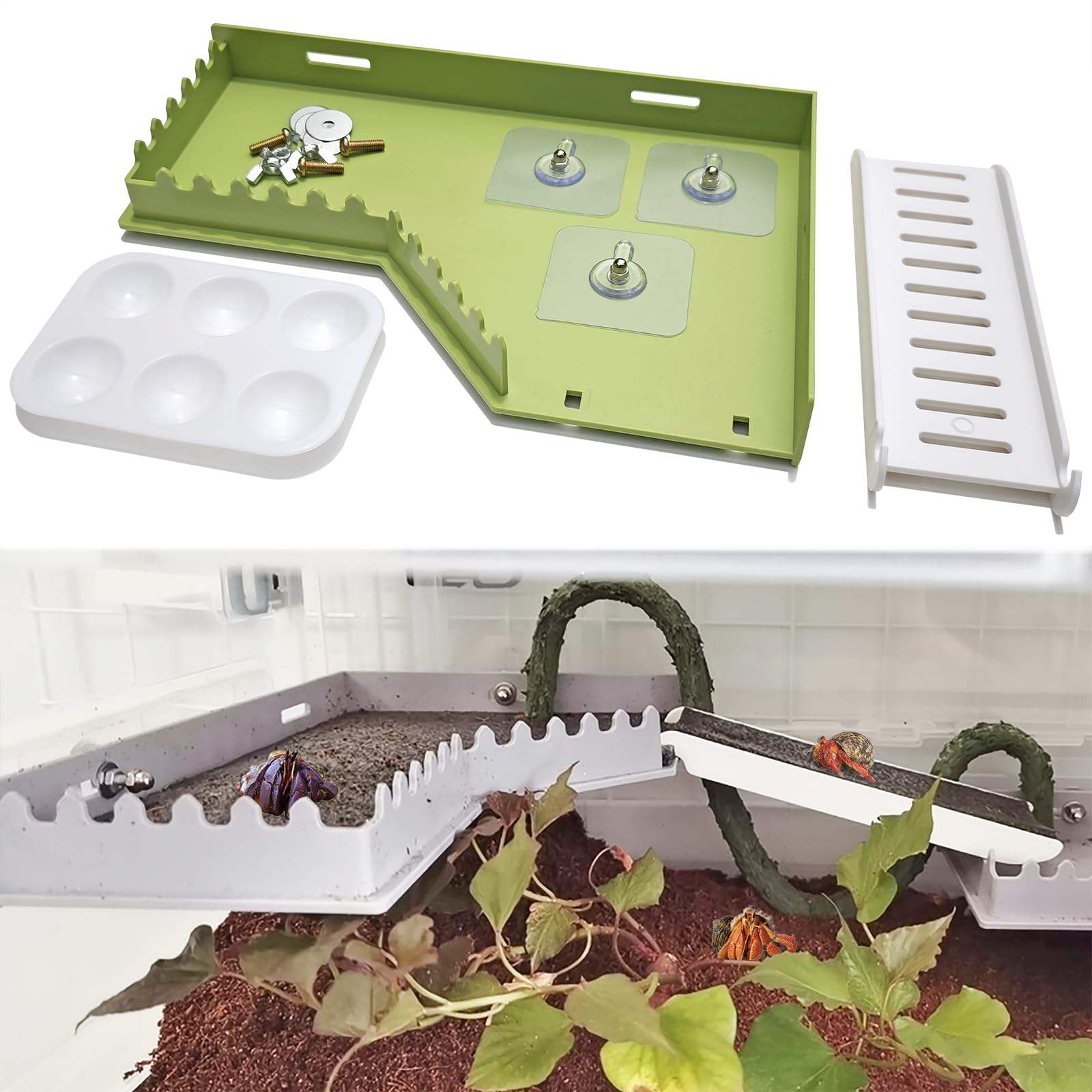 Photo 1 of Anranmm Hermit Crab L-Shaped Platform with Ladder and Food Dish