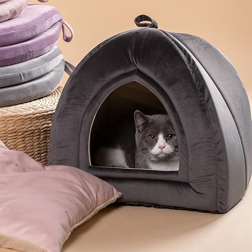 KASENTEX Cama para gatos de interior, casa de gatos 2 en 1, suministros para mascotas para gatitos y gatos pequeños o perros, cueva de animales, disponible en Yaxa Colombia