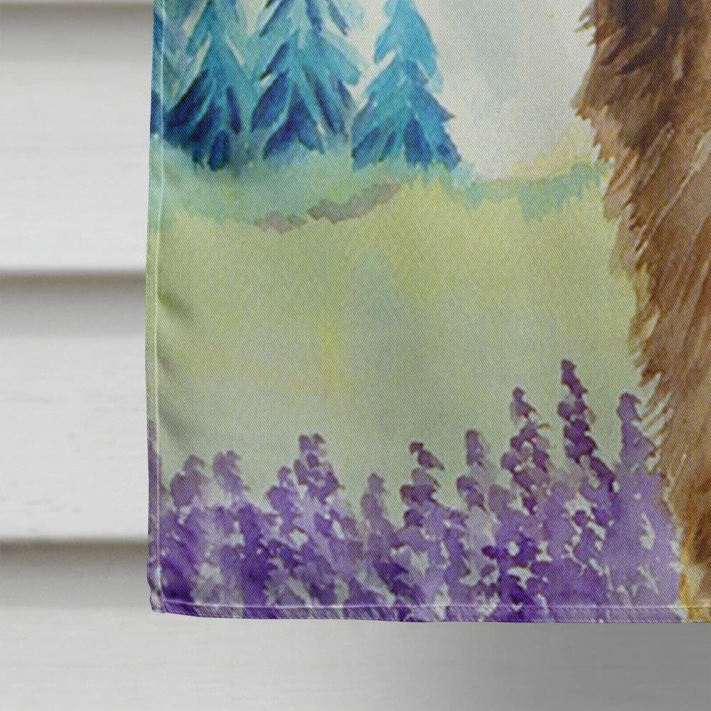 Caroline's Treasures Leonberger Gartenflagge – Klein, Doppelseitig, Aus Polyester, Wetterfest