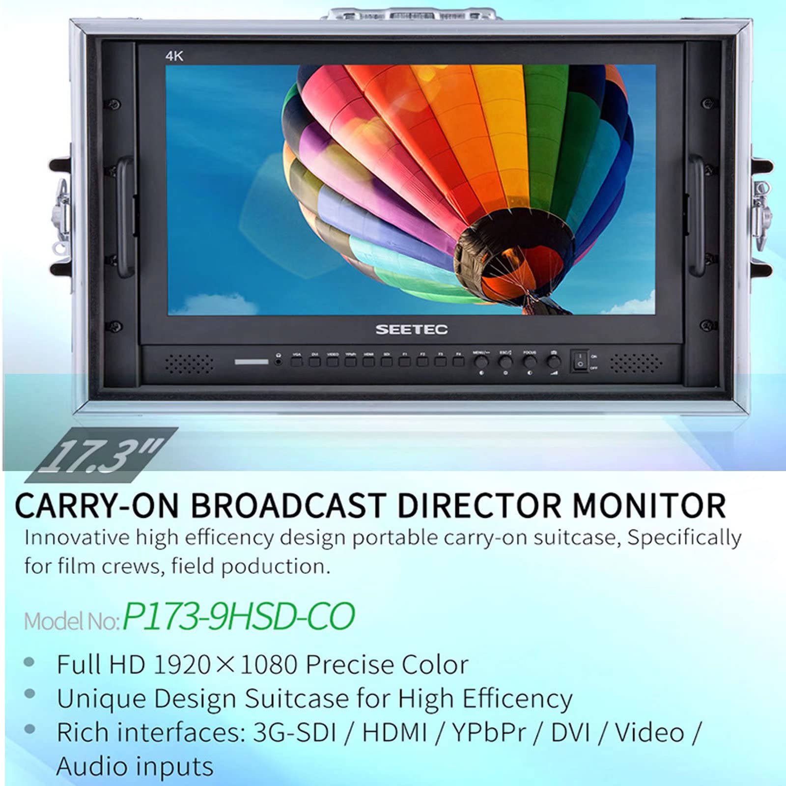 Amazon.com: Seetec P173-9HSD-CO Aluminum Design 1920X1080 Full HD