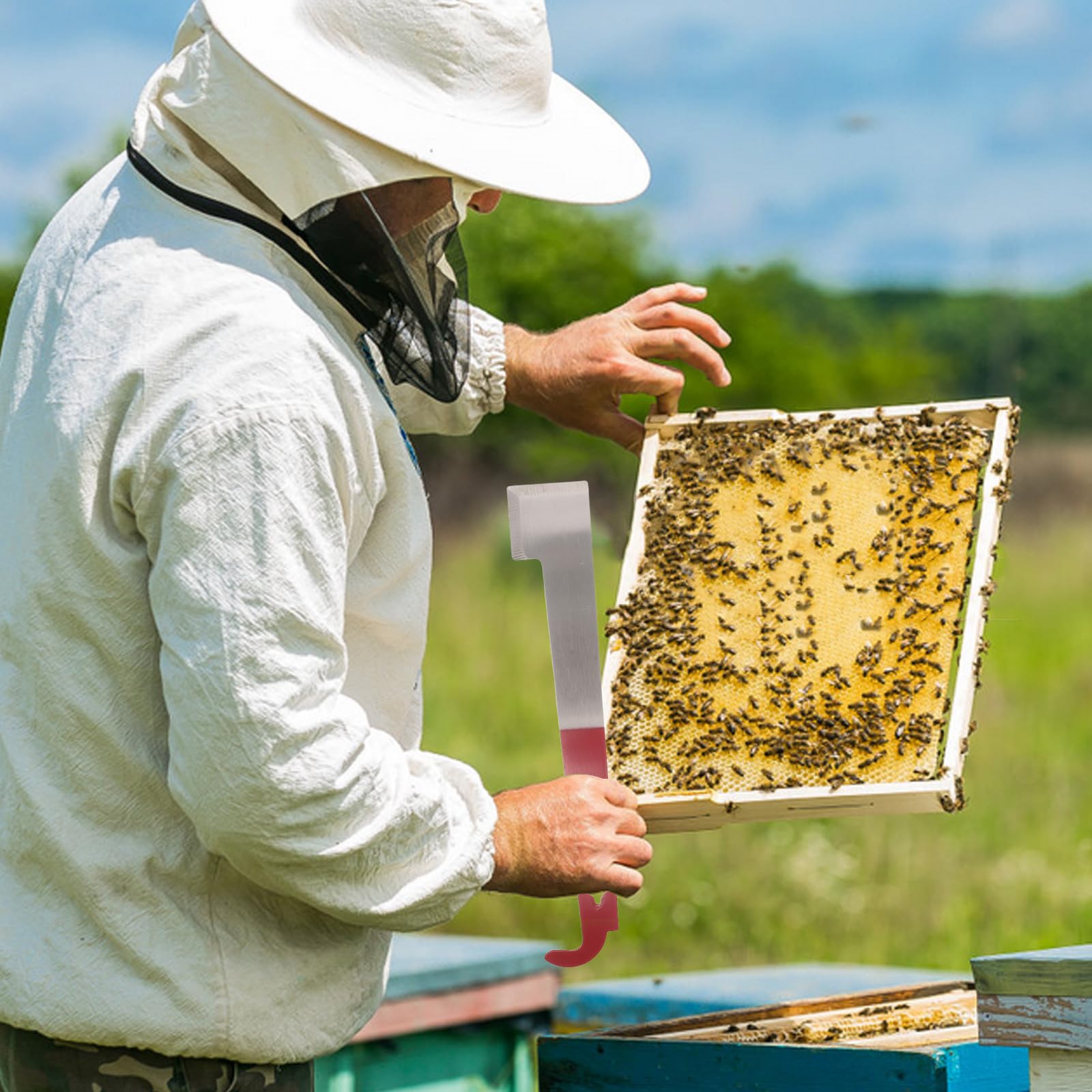 INOOMP Set di 5 attrezzi per apicoltura: sollevatore per telaini in acciaio, gancio per raschietto per , leva per arnia con impugnatura antiscivolo, gadget per la manutenzione 'arnia