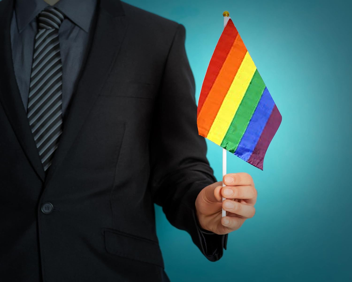 Small Rainbow Hand Held Flag Stick - LGBTQ Pride Party Decorations For Gay Pride Parades and Rainbow Festival - Image 3