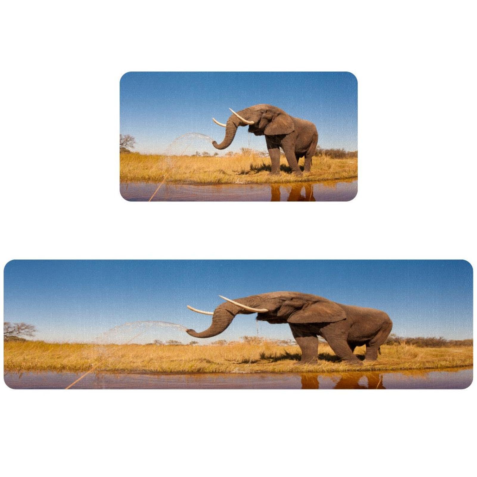 Alfombrillas de cocina alfombra lavable antideslizante y absorbente elefante africano 2x