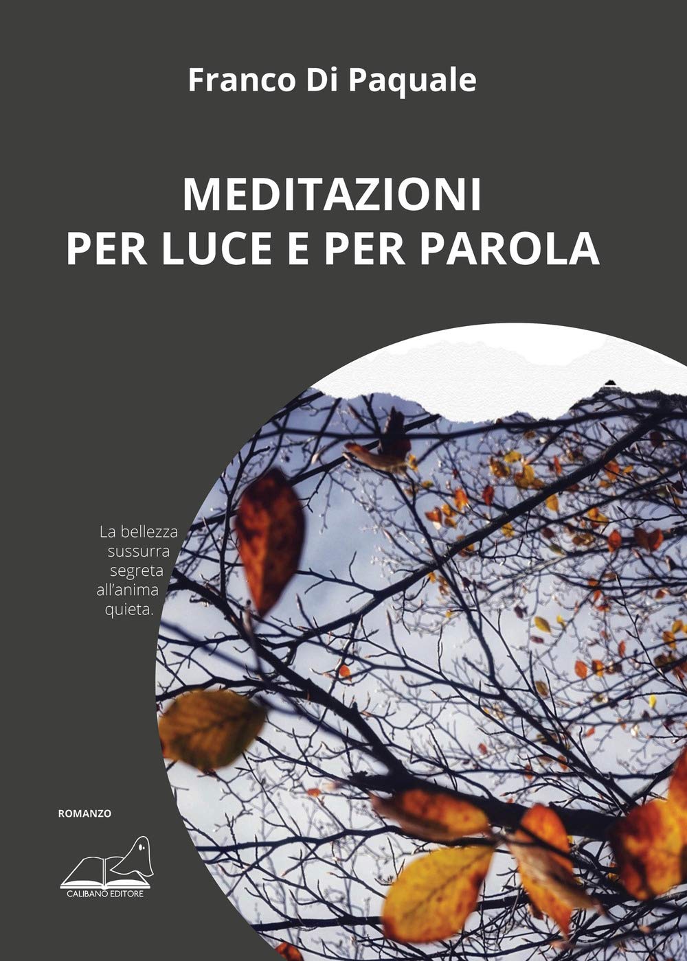 Meditazioni per luce e per parola Livre illustré bien-être pour rituel du soir