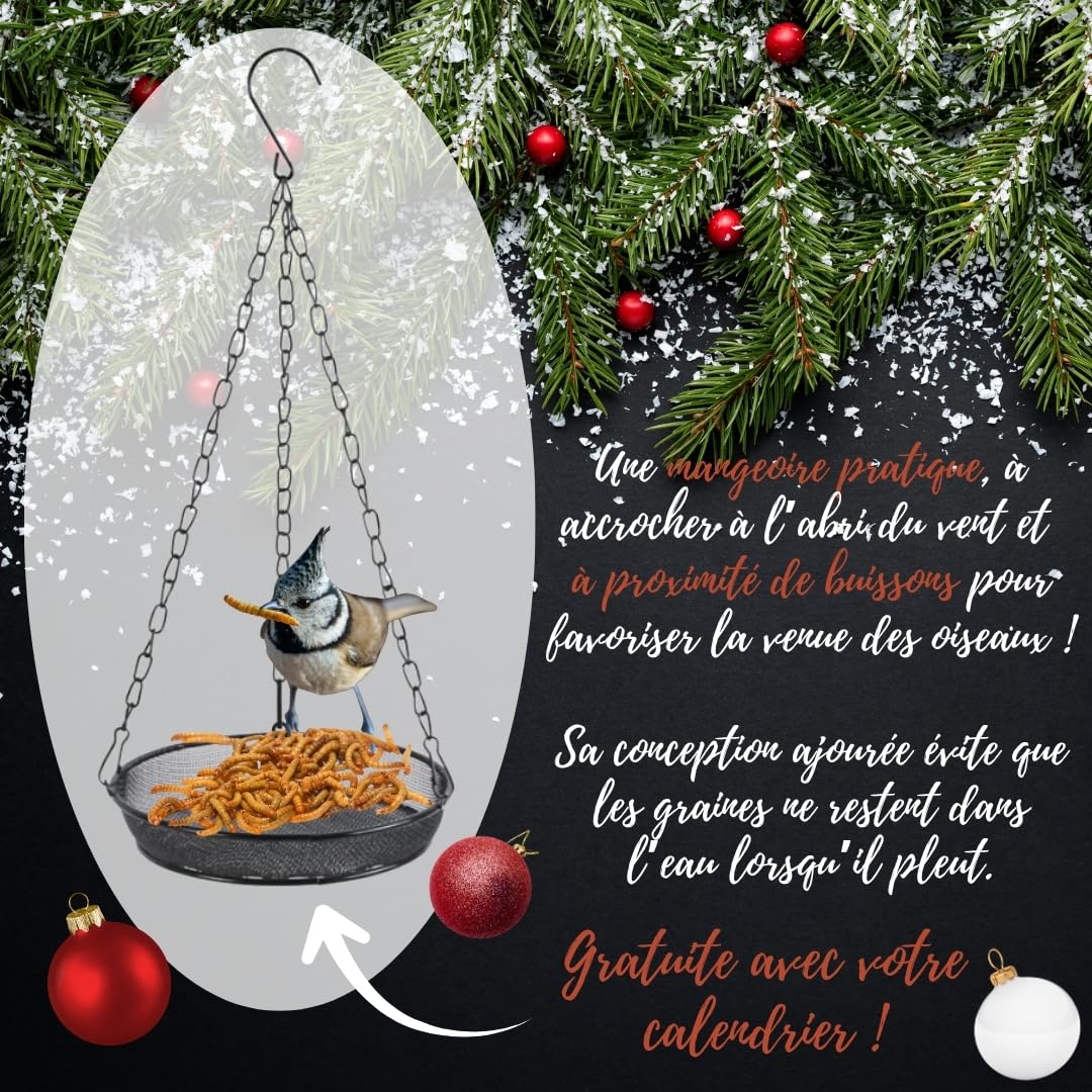 Calendrier de l’Avent pour Oiseaux du Jardin ANI’Nat – 24 friandises Naturelles sans Filet – Graines, céréales, Insectes, Boules de Graisse – Nourriture hivernale avec mangeoire