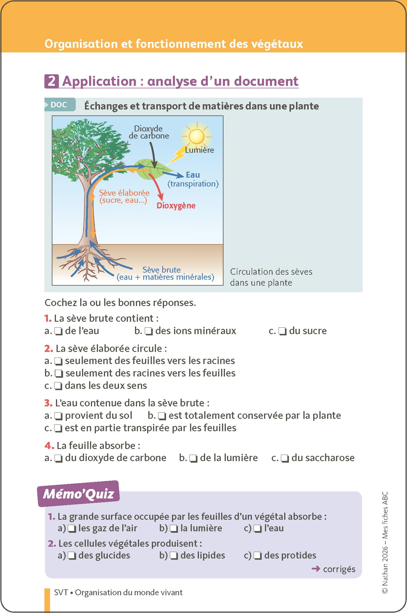 Le Brevet, c'est dans la Boîte ! 200 fiches sur tout le programme de 3e - Brevet 2027