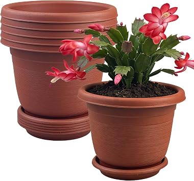 6Pack 15.5cm/6.1-in Plant Pots Indoor Plastic Flower Pots with Drainage Holes and Saucers Modern Decorative Planters Succulent Indoor Outdoor Plants - Terracotta