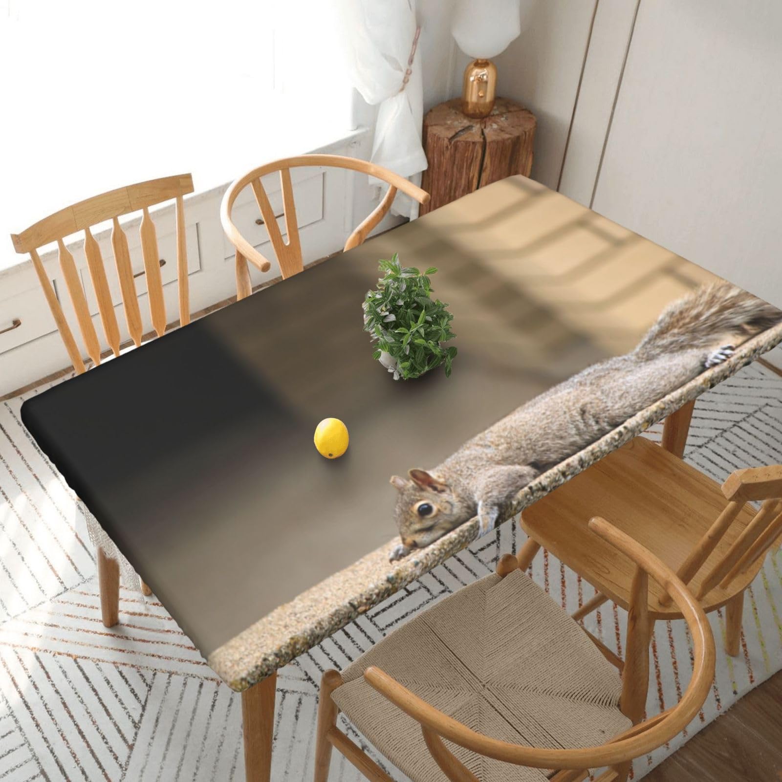 DCEHGEW Elastic Fitted Rectangle Tablecloth for 5ft Tables, Squirrel Just Laying Printed Oilproof & Washable Fabric Picnic Table Cloth Table Covers