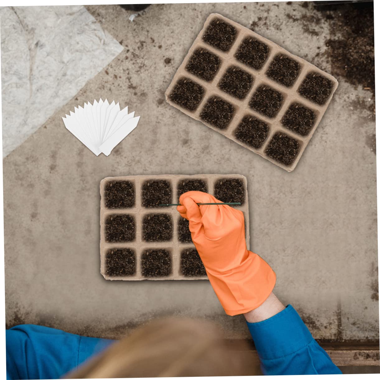 Toddmomy Keimschale Für Indoor-anbau Starter Für Blumen Und Gemüse Anzuchtschale Mit Keimpapierstation Biologisch Abbaubar Praktisch Für Anzuchttopf