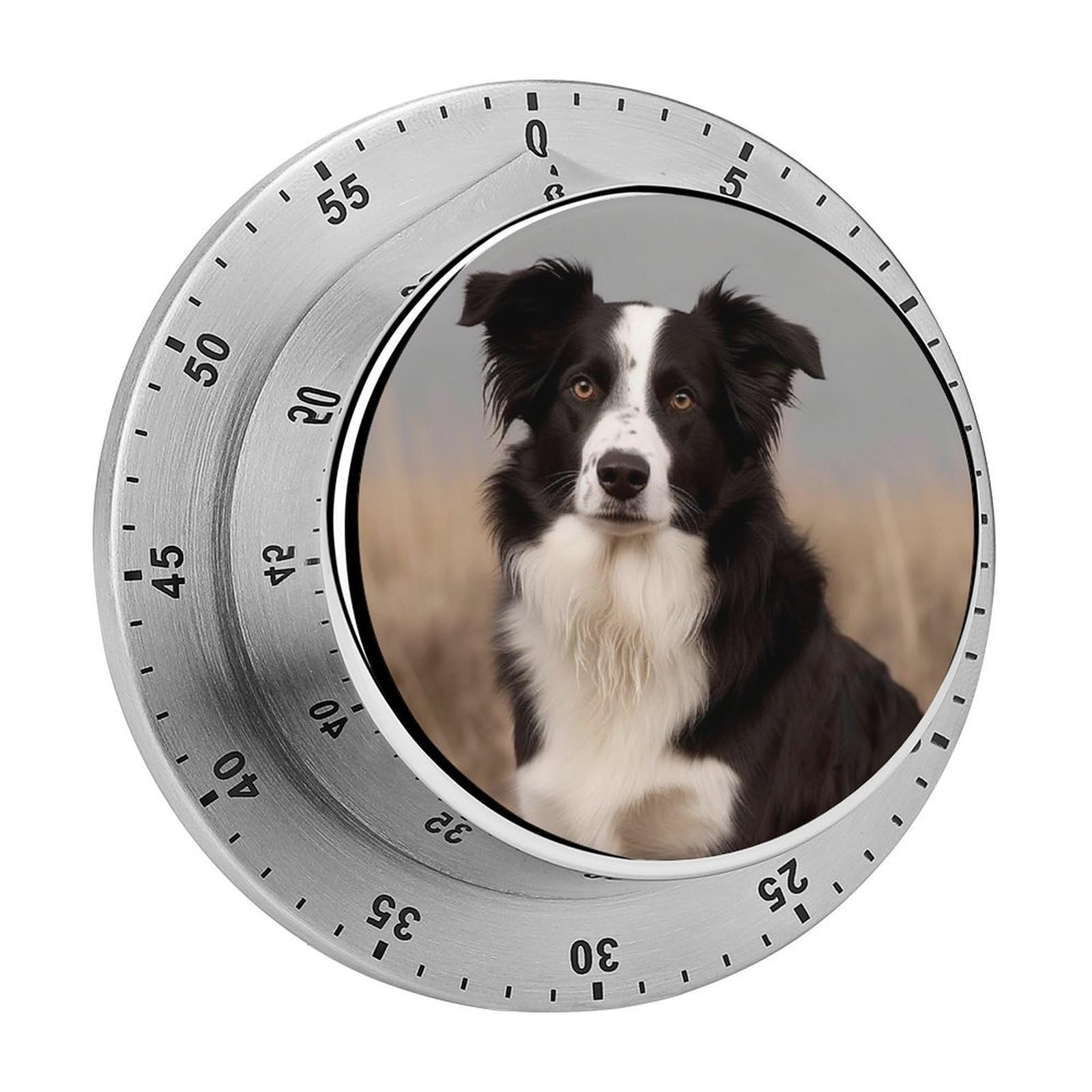 Temporizador Border Collie magnético: evita descuidos al cocinar y ejercitarte