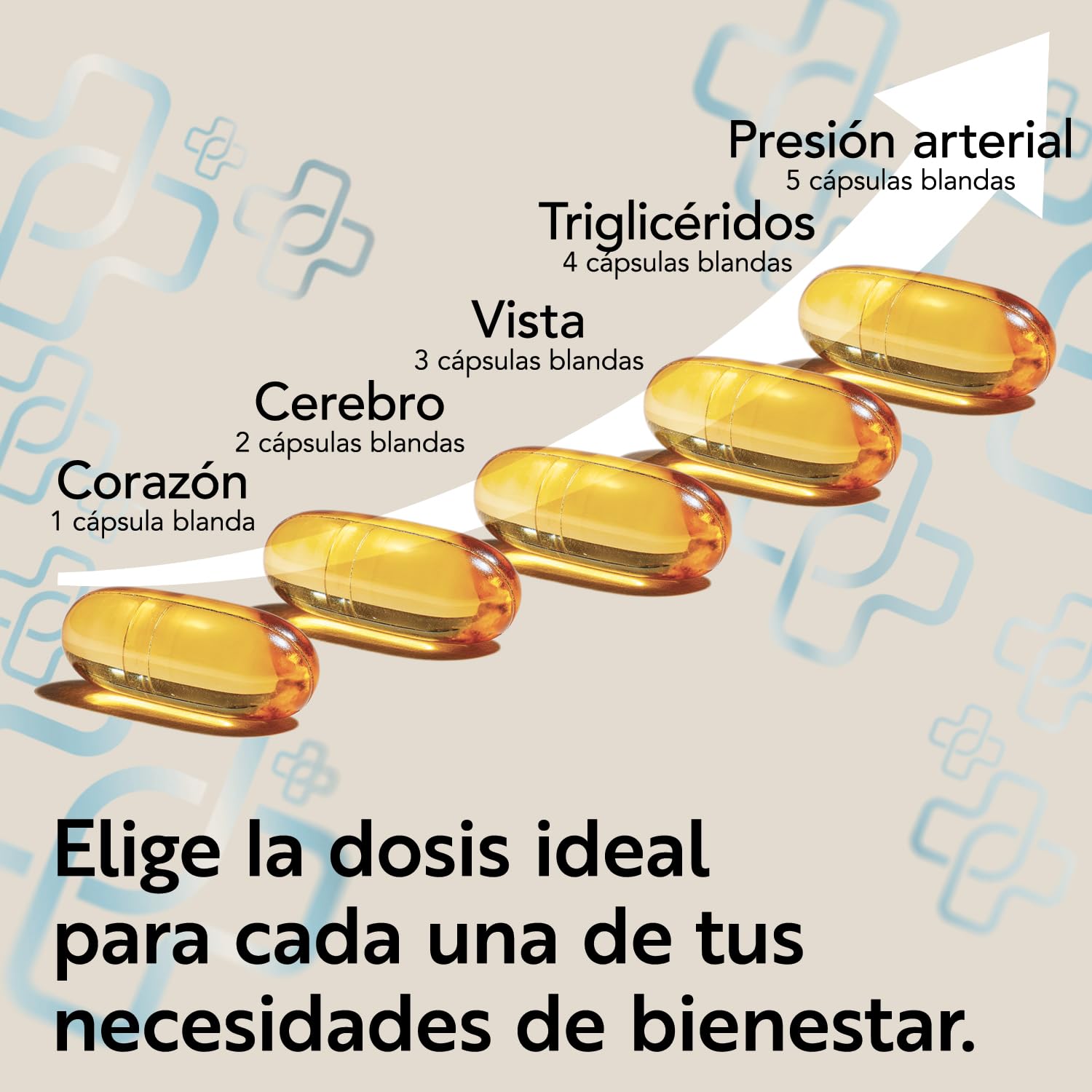 Omega 3 IFOS Certificado Con Vitamina D3 2000 UI PiùLife, 240 Omega 3 Capsulas Blandas, Aceite De Pescado 2000mg Epa Y 1000mg Dha Por Dosis, Fish Oil Triglicéridos, Corazón, Vista, Huesos Y Cerebro