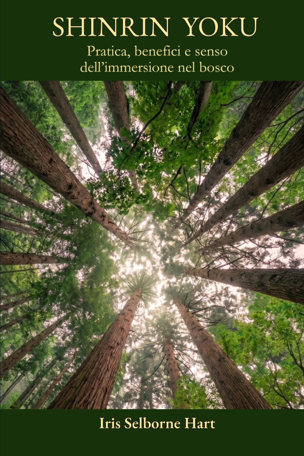 Shinrin Yoku: Pratica, benefici e senso dell’immersione nel bosco