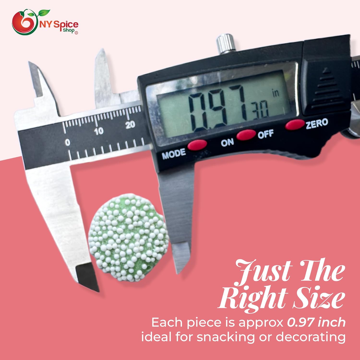 NY Spice Shop Pastel Mint Nonpareils Candy - Mini Smooth and Melty Nonpareils Candy - Pastel Delights Sprinkles for Cake Decoration, Holidays, Birthdays, Baby Shower and More - 3 Pound