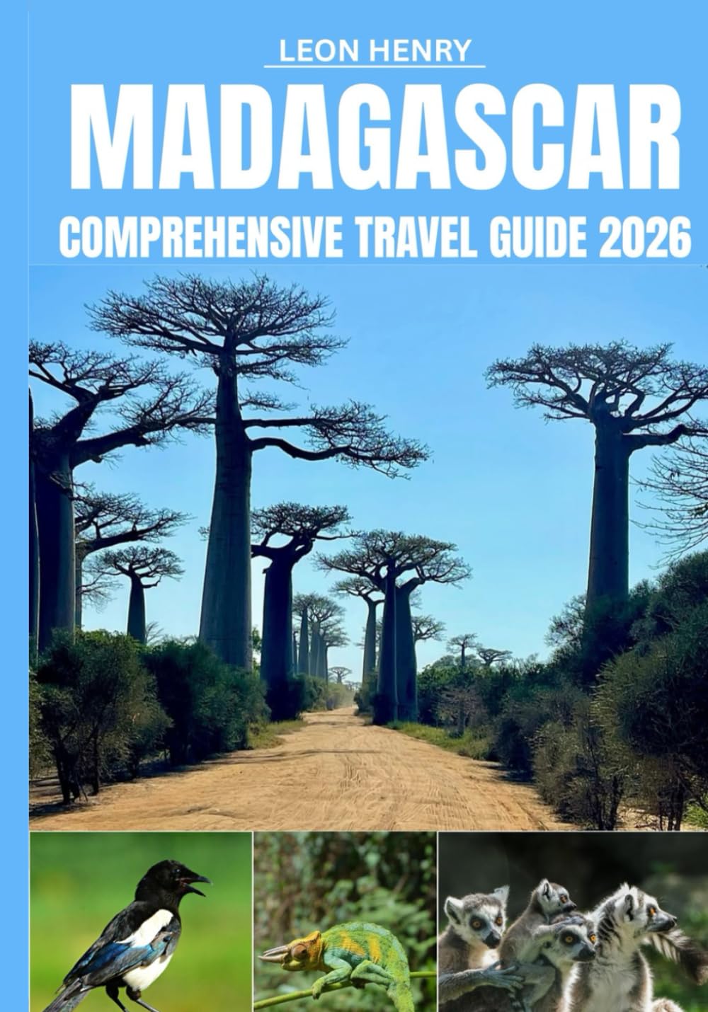 MADAGASCAR COMPREHENSIVE TRAVEL GUIDE 2026