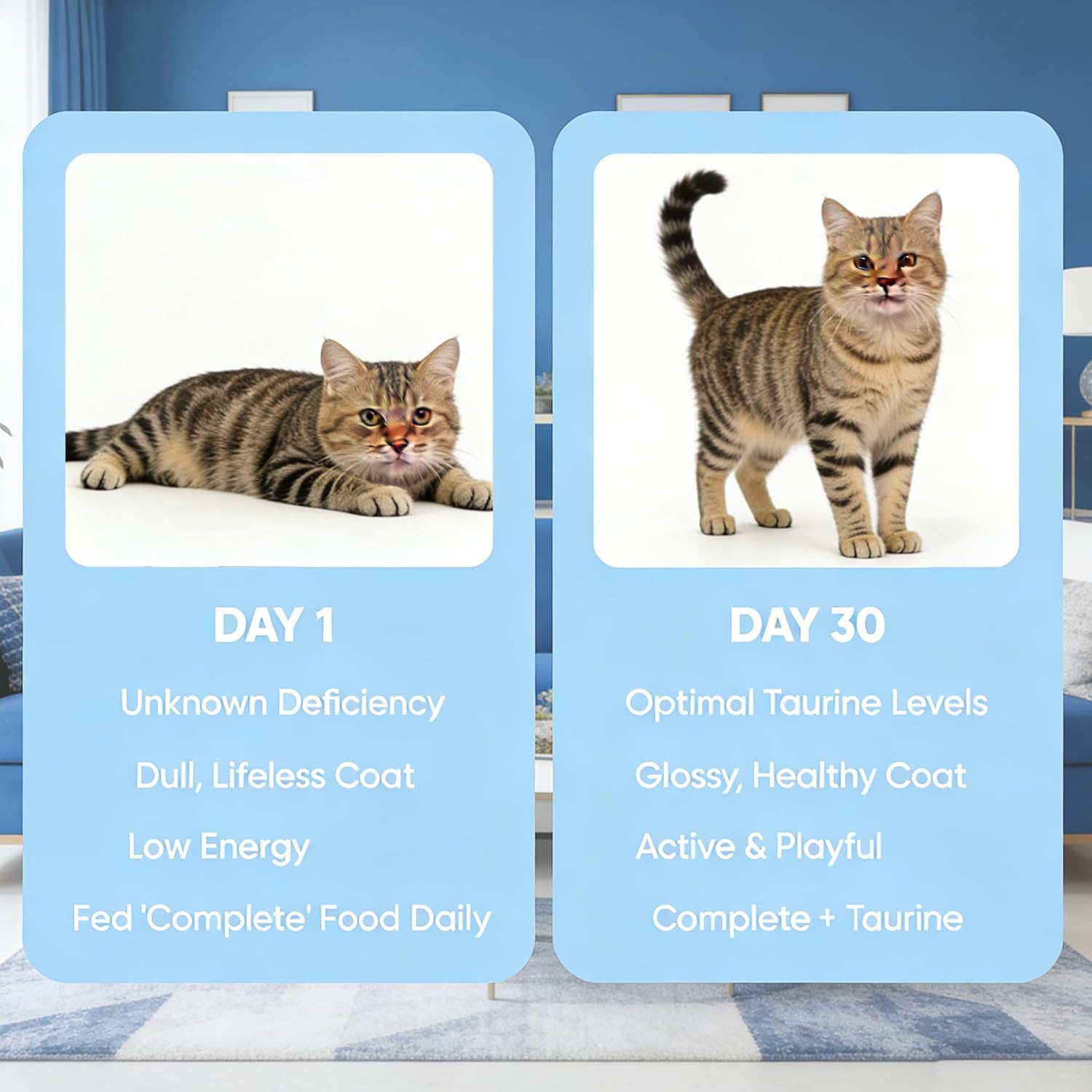 VitaTaurine Pro Supplement for Cat, Pure Taurine Supplement, Grain-Free Formula, Essential Amino Acid, Supports Overall Heart Health & Eye Vitality, for All Cat Breeds & Ages,200 Grams