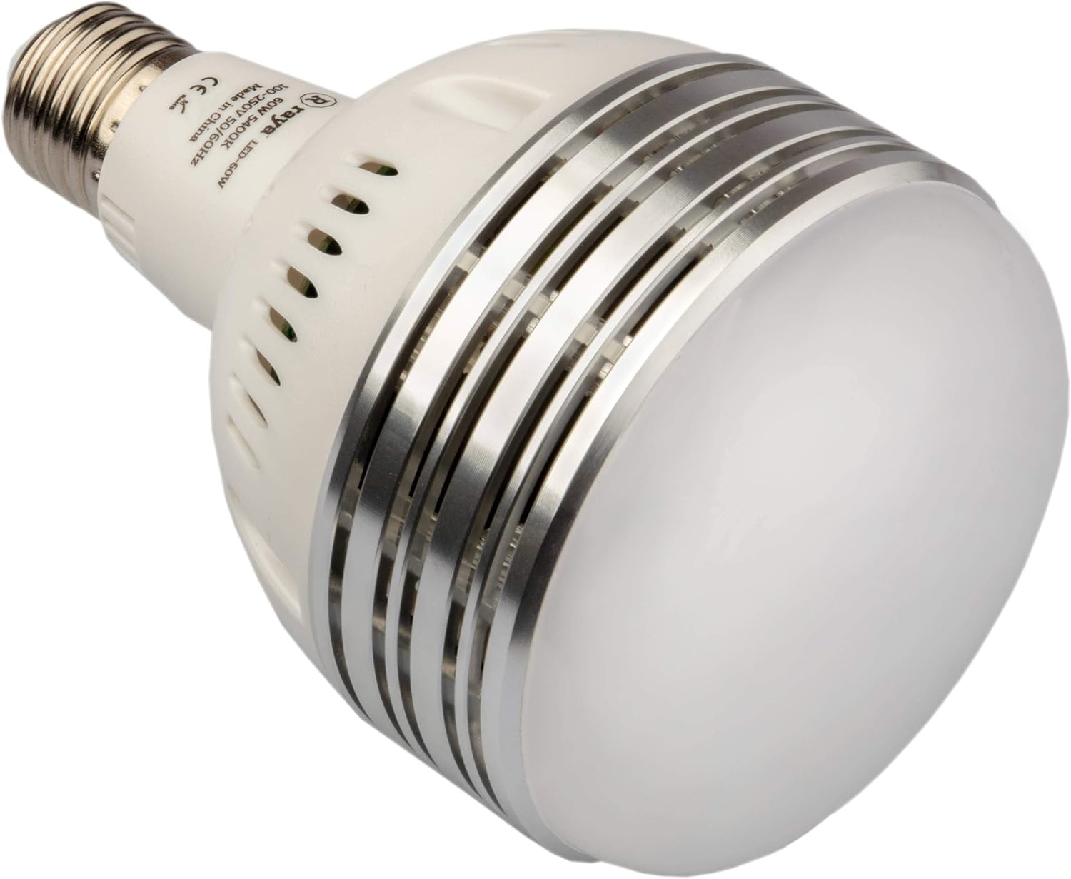 Raya 60W LED Daylight Studio Bulb