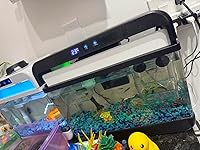 Review Image by Ivet y Tania Ivet y Tania