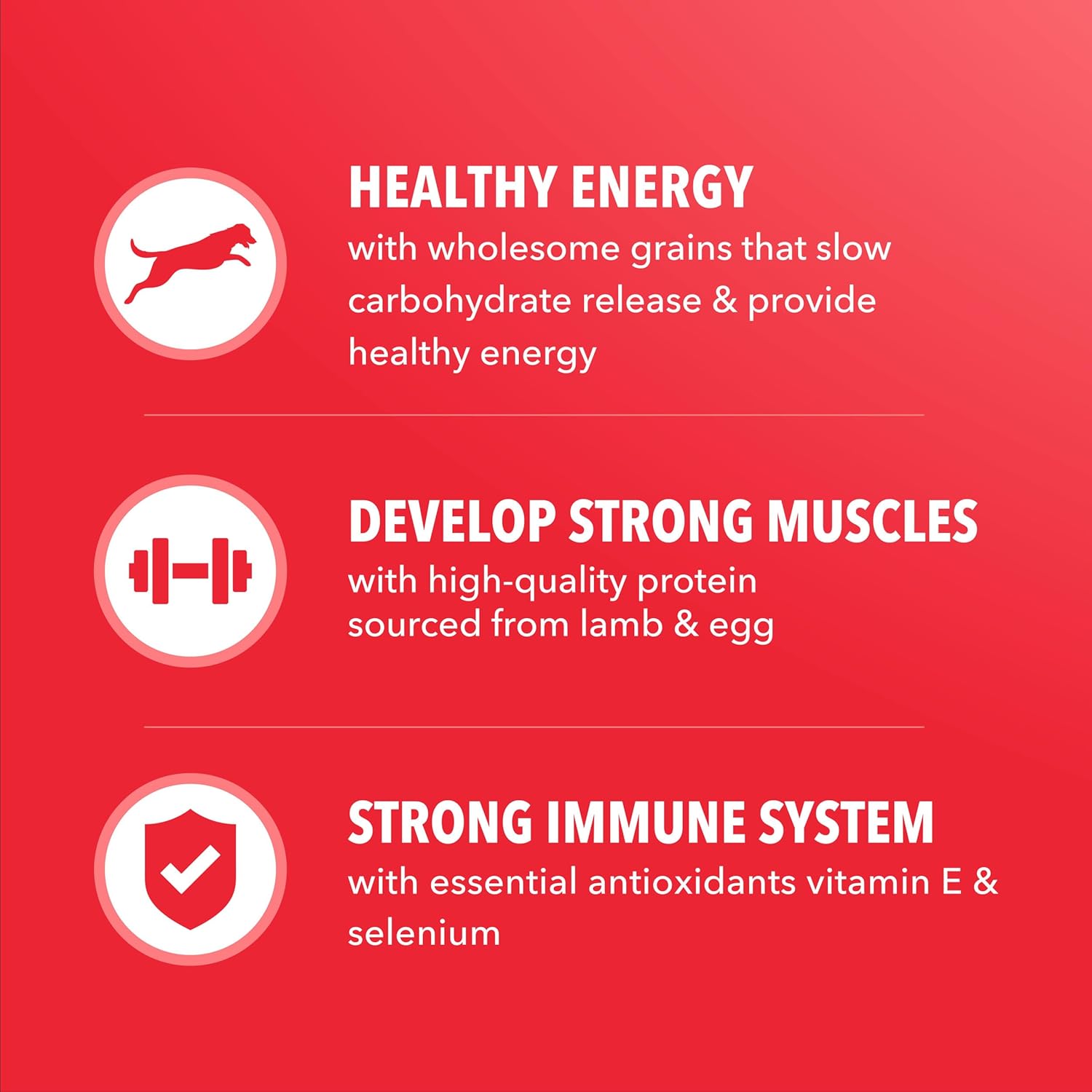 IAMS Proactive Health Adult Minichunks Dry Dog Food Lamb & Rice Recipe, 38.5 lb. Bag