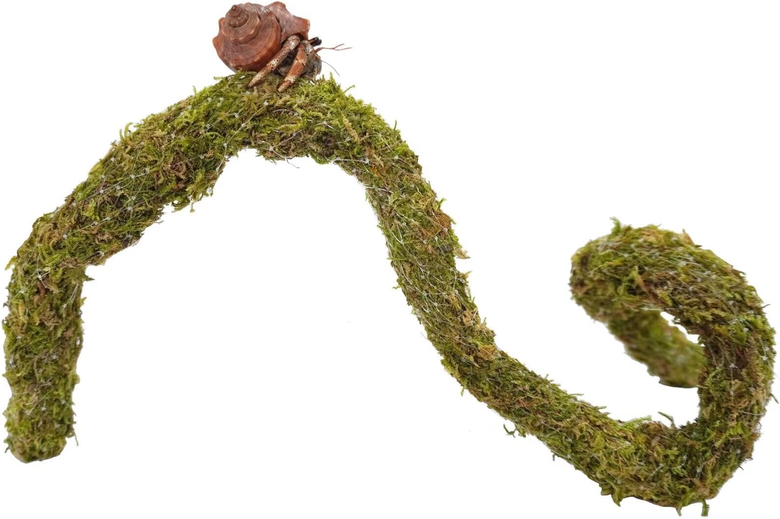 25 Inch Hermit Crab Climbing Toys, Bendable Hermit Crab Supplies, Ideal Hermit Crab Habitat Tank Terrarium Accessories