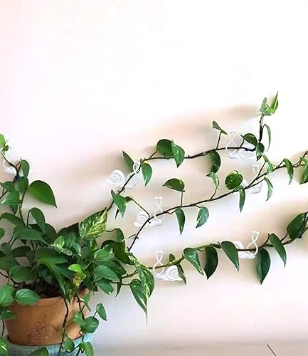 Miniatura 5 de 50 clips de pared para plantas gancho de fijación invisible autoadhesivo para decoración de pared y jardín