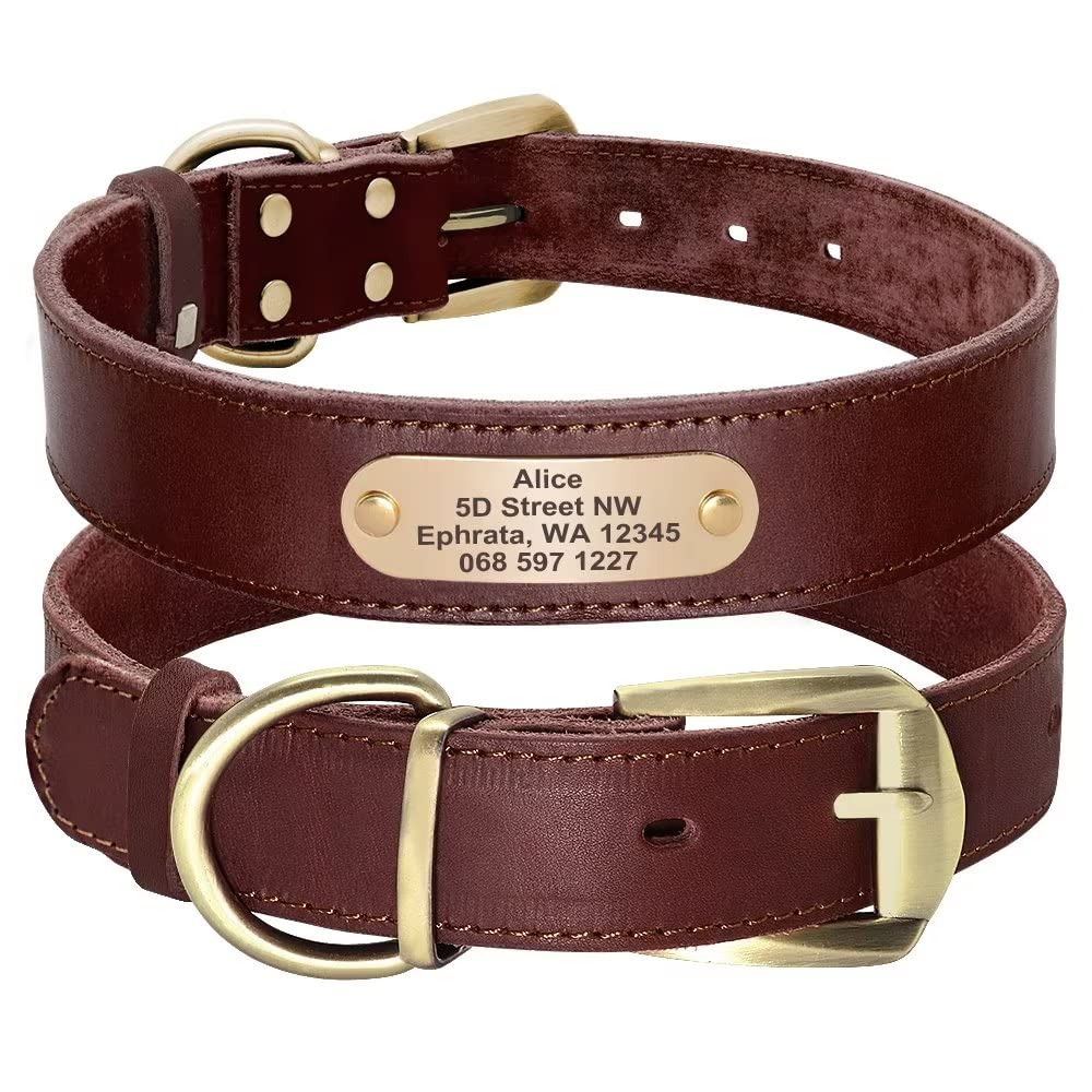 Didog Collares, Collar de Perro de Cuero Suave Personalizado con Etiqueta de identificación Personalizada, marrón/Verde/Rojo, para Perros medianos y Grandes