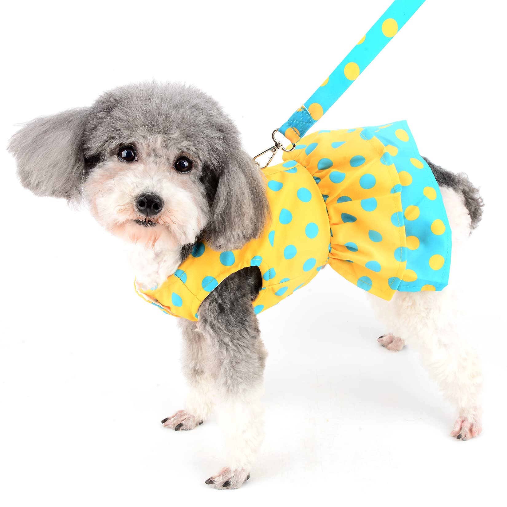 Hundekleid Mit Schleife & Geschirr-Leinen-Set – Kariert, Für Kleine Hunde, Inkl. Leine