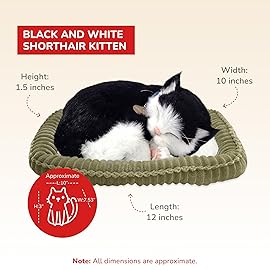 Perfect Petzzz Original Petzzz Black and White Shorthair Kitten Plush, Realistic, Life-Like Stuffed Interactive Plush Toy, Electronic Pets, Companion Pet Dog with 100% Handcrafted Synthetic Fur