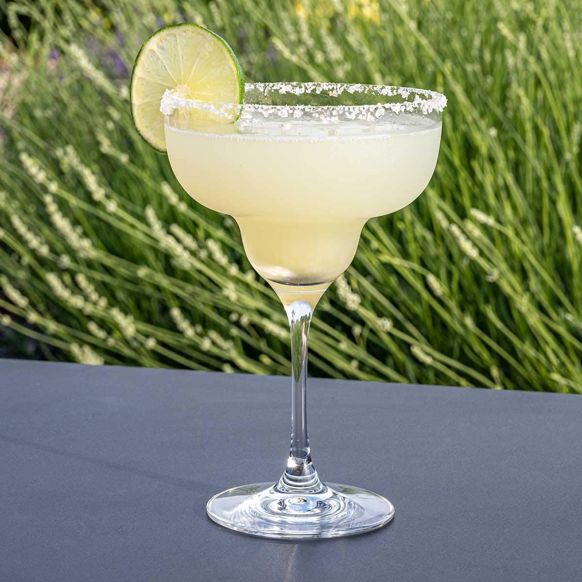 DIAMANTE Crystal Margarita Gläser Paar - Auris Collection Undekoriert Kristall - Geschenkbox mit 2 Premium Margarita Gläsern