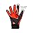 FOCO Cleveland Browns NFL Palm Logo Texting Gloves