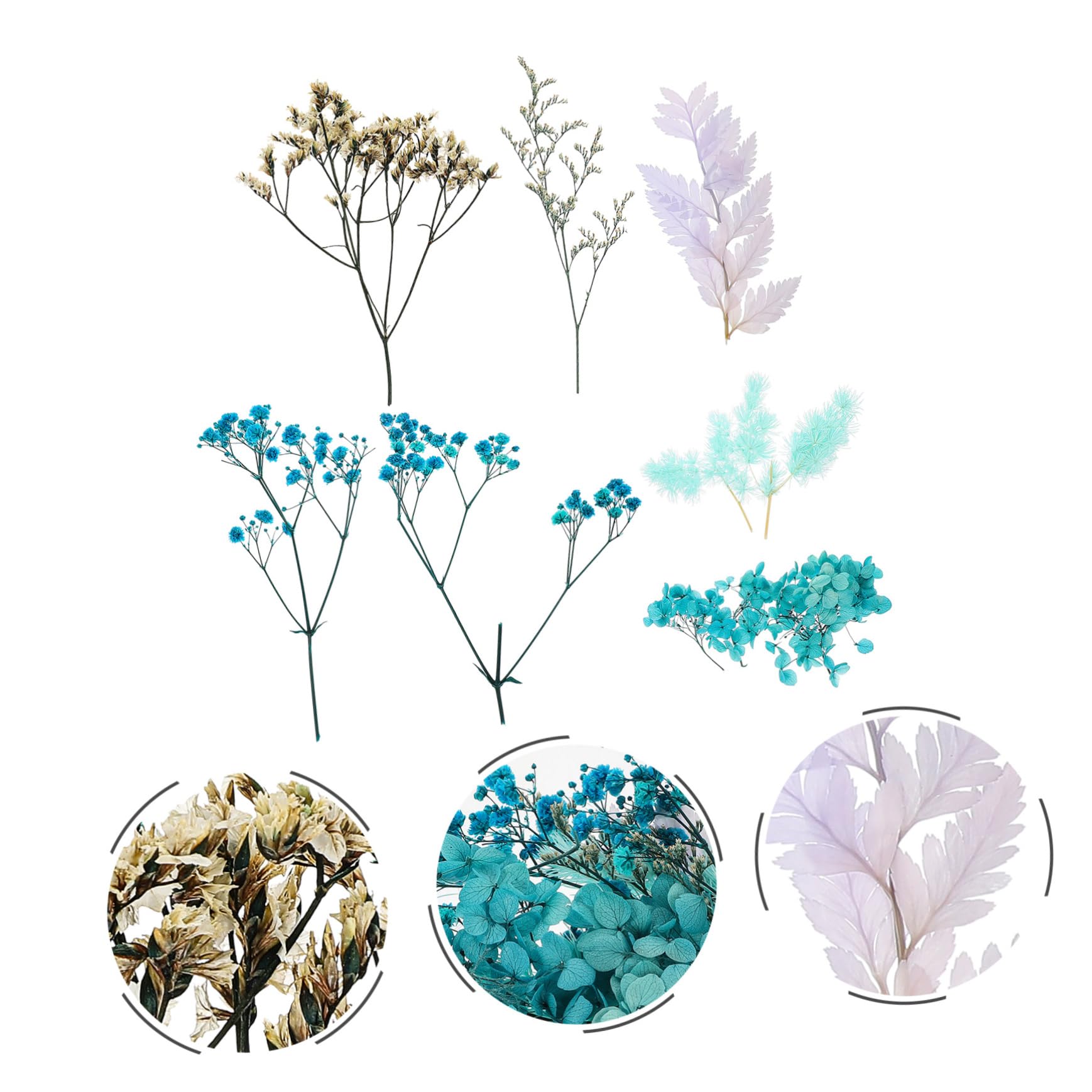 Abaodam 5ensembles Fleurs Séchées Naturelles pour Bougies Artisanales Matériaux à Base De Fleurs Séchées pour Décoration Artisanat Époxy Accessoires Maison
