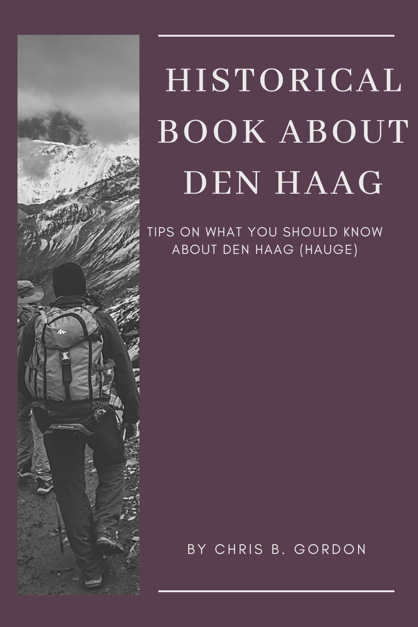 HISTORICAL STORY ABOUT DEN HAAG: Tips on what you should know about Den Haag (hauge)
